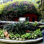 Nahar-Garden-Picnic-Spot-250x250